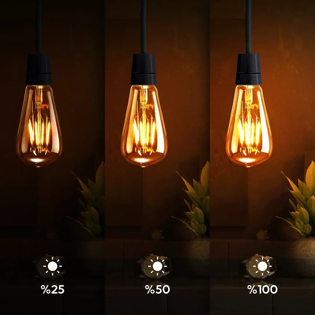 CT-4313 CATA Dimmerli Amber Rustik Led Ampul