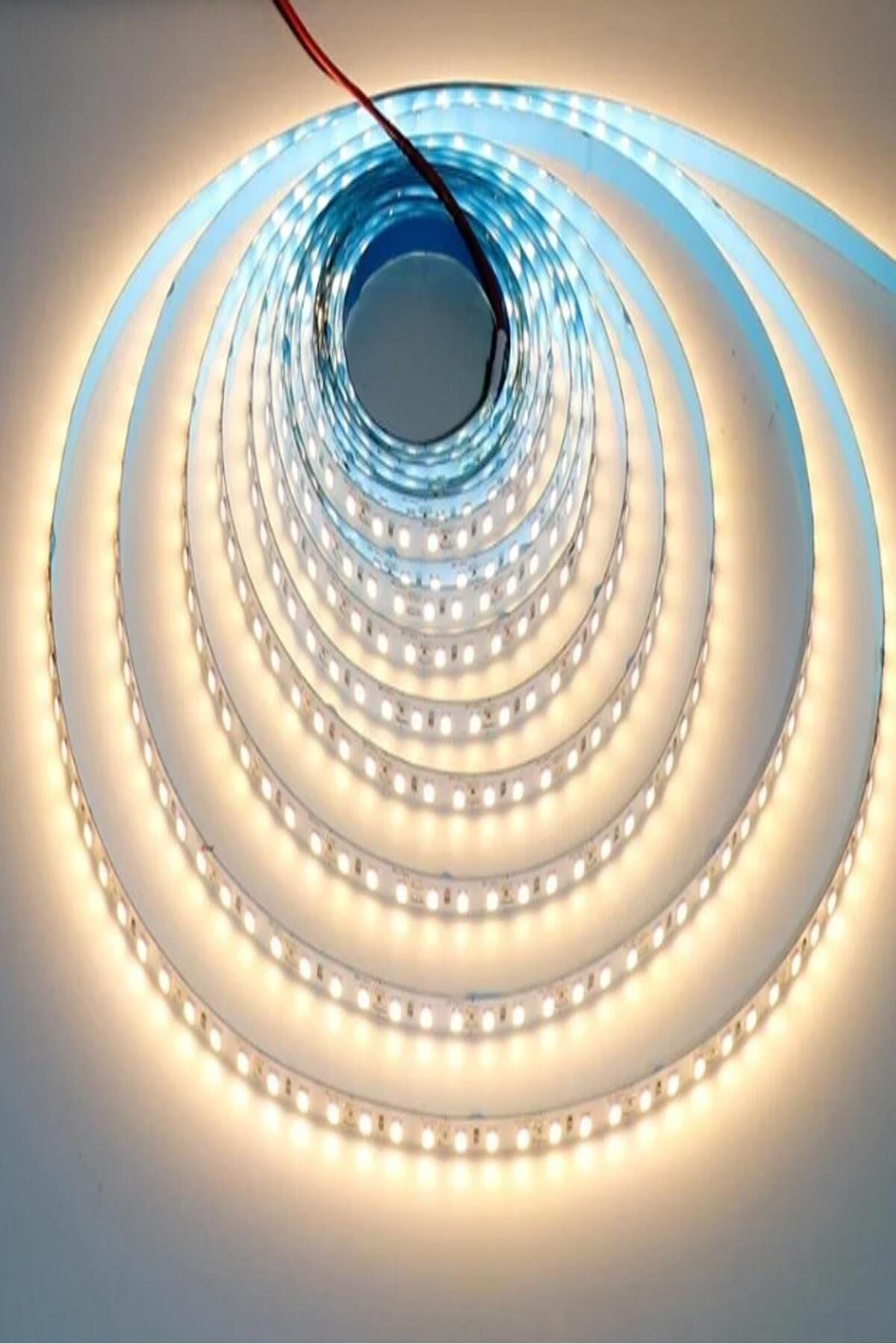 CT-4488 CATA 10 Çip Dış Mekan Gün Işığı Şerit Led (Paket 5 Metre)