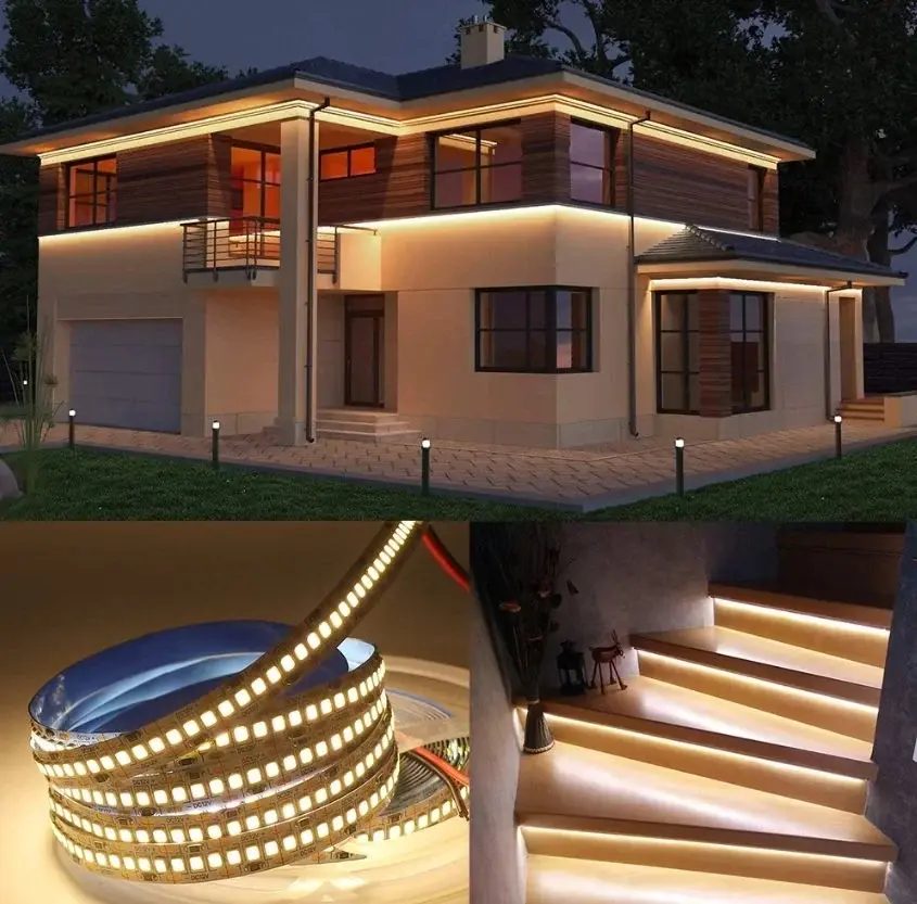 CT-4538 CATA 240 Çipli Gold Şerit Led (Paket 5 Metre)