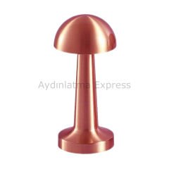 K2 Rose 3 Fonksiyonlu Dimlenebilir Masa Lambası KML115